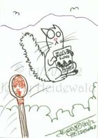 Flying Cat, With Halo
